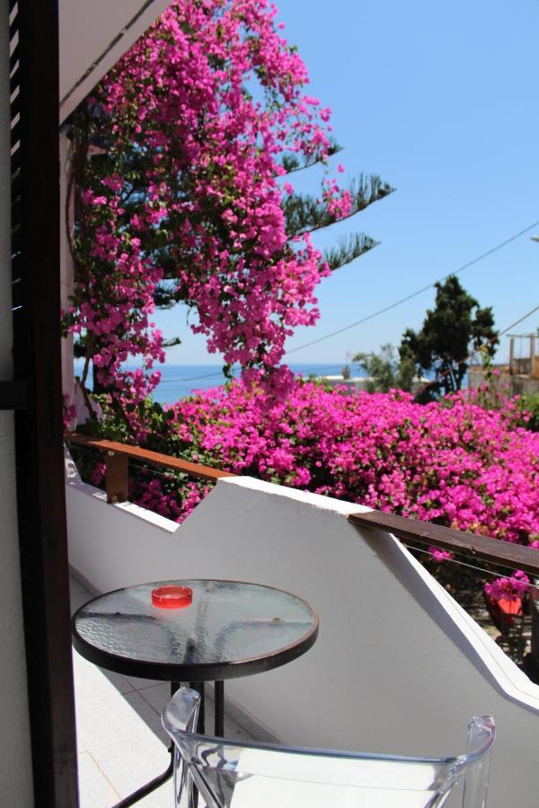Garden House Apartment Khora Sfakion Exterior photo